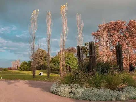 Terreno en Venta en Ibarlucea, Rosario