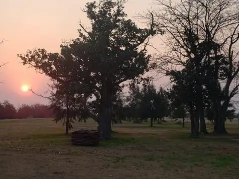 Terreno en Venta en Ibarlucea, Rosario