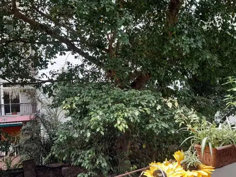 Departamento en Alquiler Temporal en Recoleta, CABA