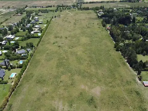 Campo en Venta en Pavón, Partido de Exaltación de la Cruz