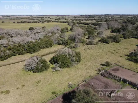 Campo en Venta en Atalaya, Partido de Magdalena