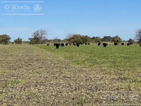 Campo en Venta en Atalaya, Partido de Magdalena