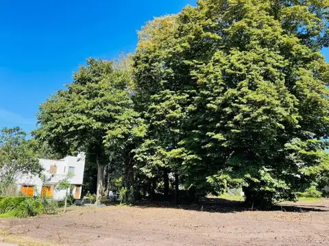 Terreno en Venta en Mar del Plata, Partido de General Pueyrredón