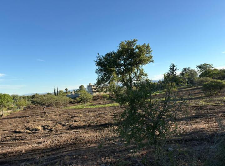 Terreno · 8000m²