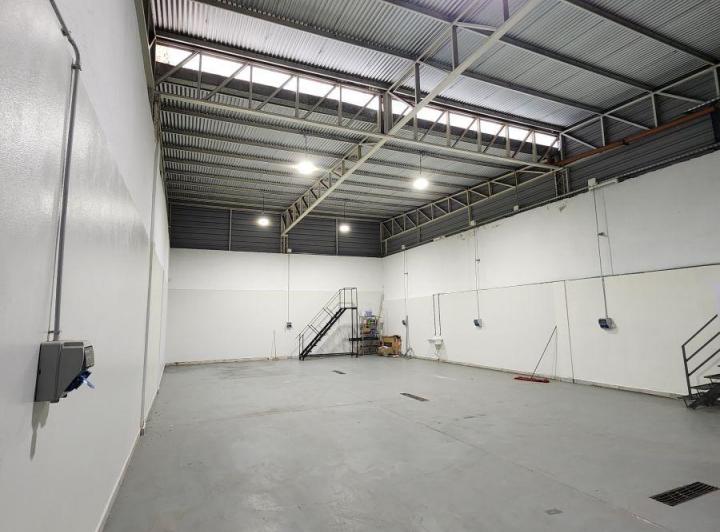 Bodega-Galpón · 250m²