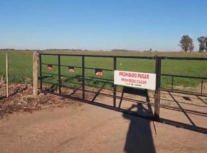 Campo · 940000ha