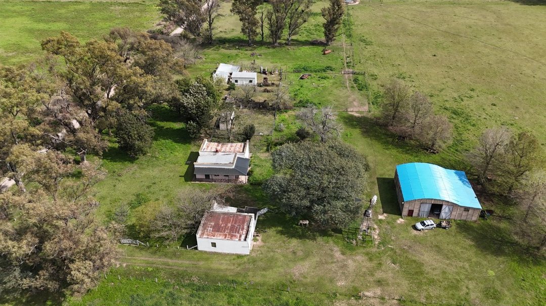 Venta Campo Ganadero Felicia-Nuevo Torino-Santa Fe