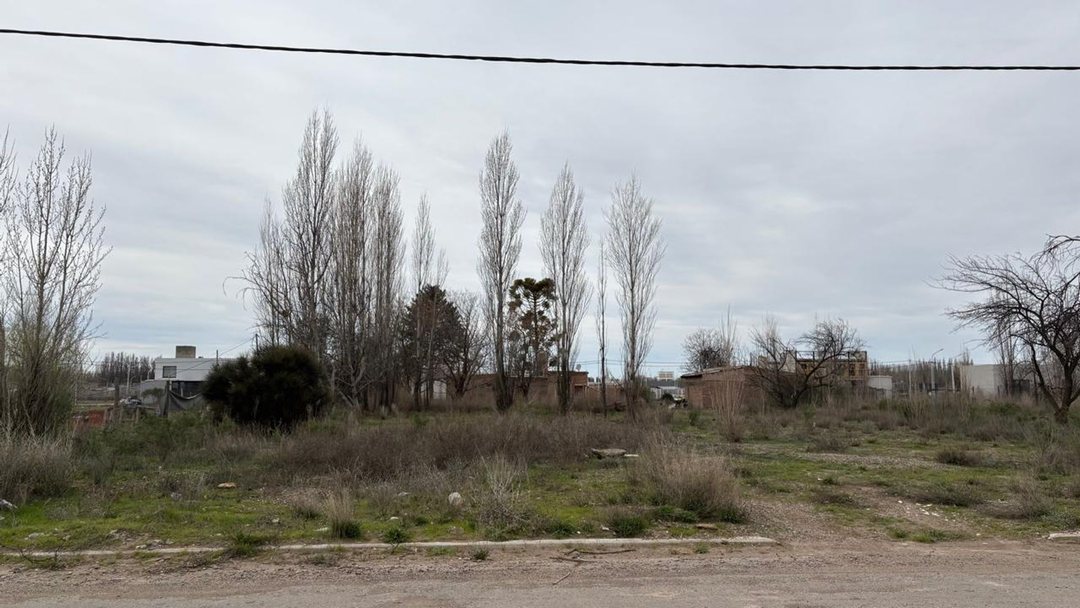 Venta de Lote de 2500 mts2 Barrio Los Cedros, Plot