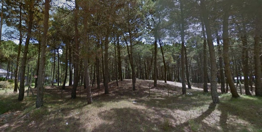 Venta de Lote en el norte de Pinamar