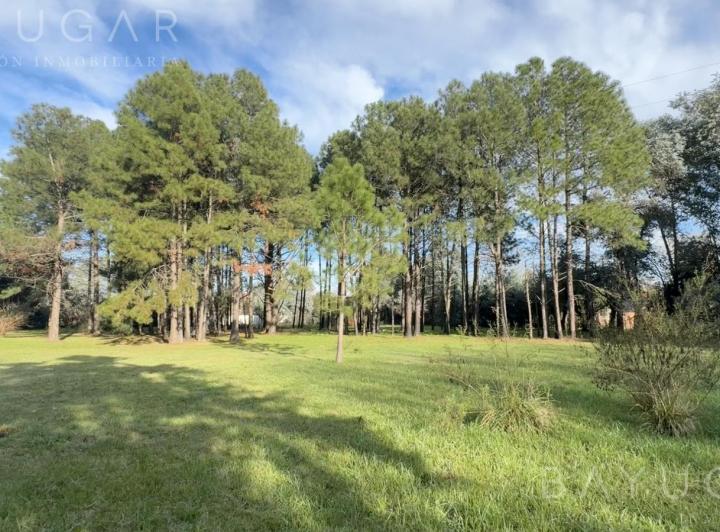 Terreno · 204m² · 5 Ambientes · 1 Cochera