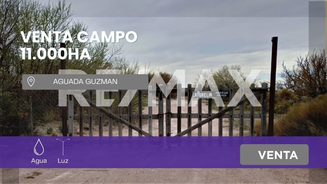 VENTA DE CAMPO 11.000 HA. EN AGUADA GUZMAN