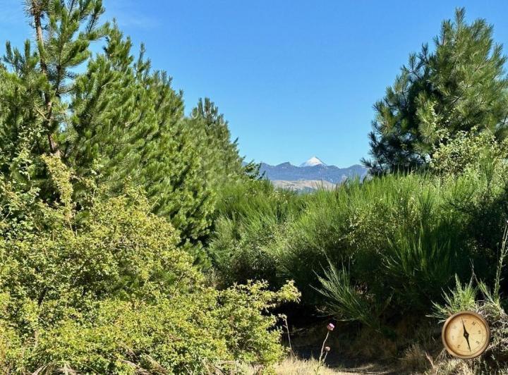 Terreno · 888m²