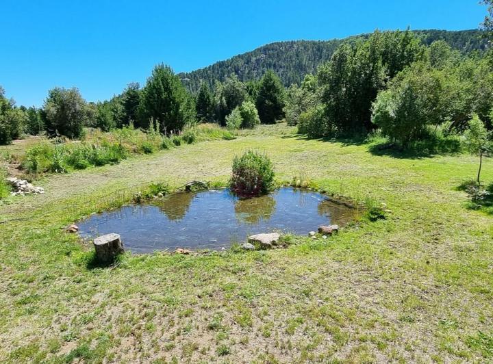 Terreno · 4342m²