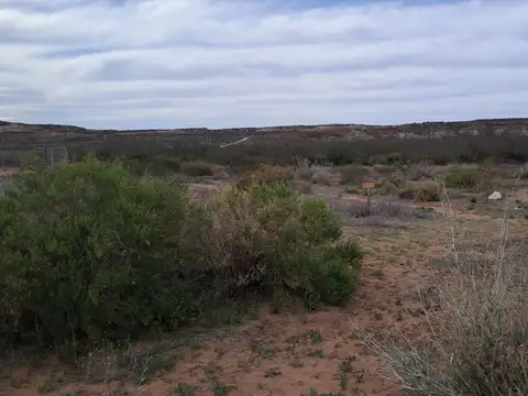 Terreno en Venta en Plottier, Confluencia