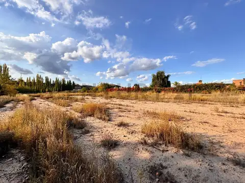 Terreno en Venta en Vistalba, Luján de Cuyo