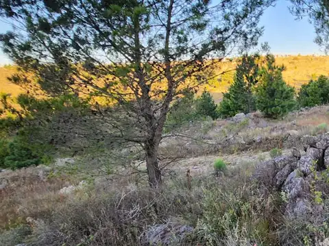 Terreno en Venta en Yacanto Calamuchita, Calamuchita