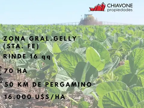 Campo en Venta en General Gelly, Constitución