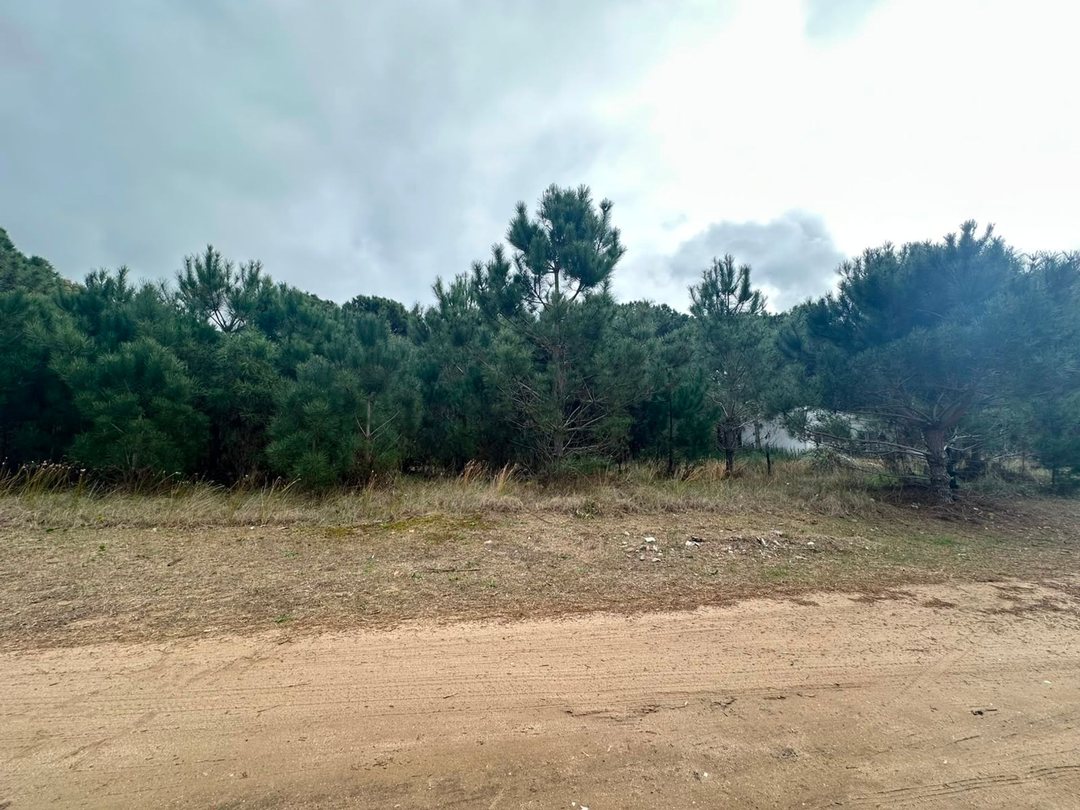 LOTE VENTA NUEVA TLANTIS 500 MENTROS CUADRADOS
