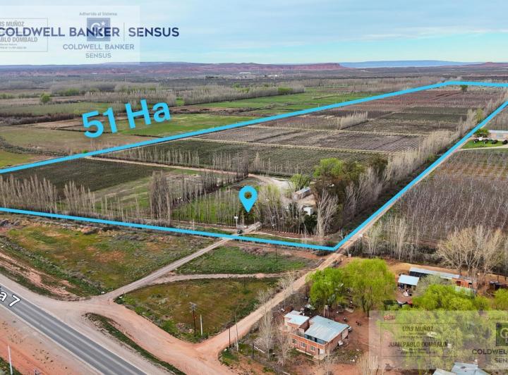 Campo · 510000ha