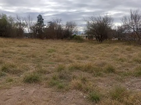 Terreno en Venta en Villa Mercedes, General Pedernera
