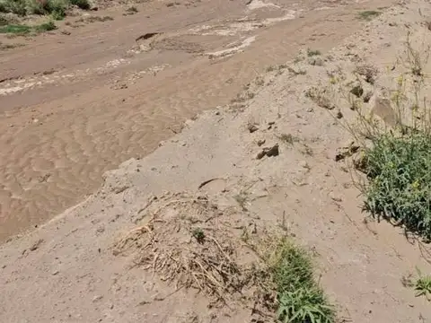 Campo en Venta en Resolana, San Rafael