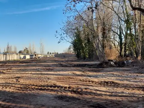 Terreno en Venta en Luján de Cuyo, Mendoza