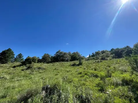 Terreno en Venta en San Clemente, Santa María
