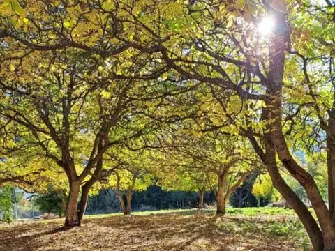 Terreno en Venta en El Bolsón, Bariloche