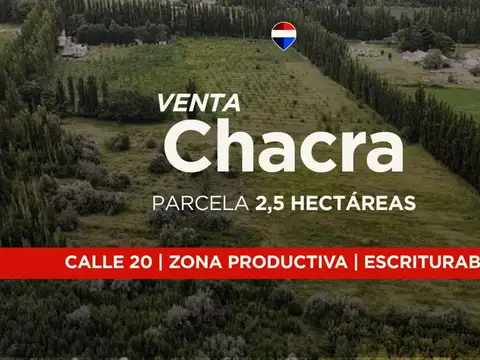 Campo en Venta en Centenario, Confluencia
