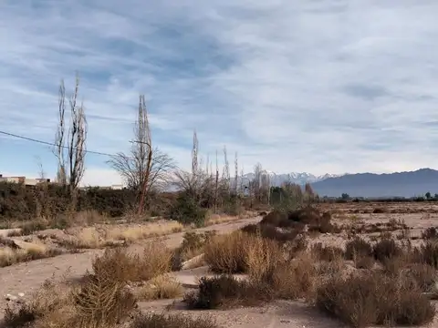 Terreno en Venta en Luján de Cuyo, Mendoza