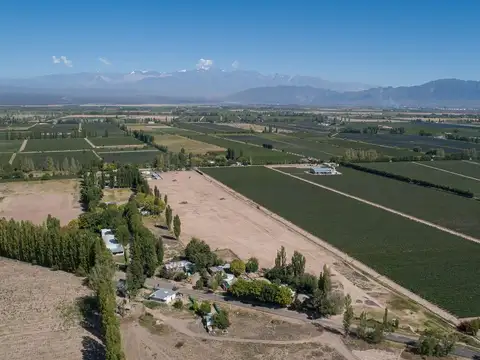 Terreno en Venta en Agrelo, Luján de Cuyo