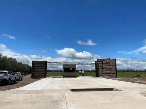 Terreno en Venta en Alto Verde, San Martín