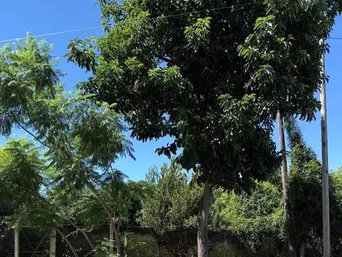 Terreno en Venta en Villa Gobernador Galvez, Rosario