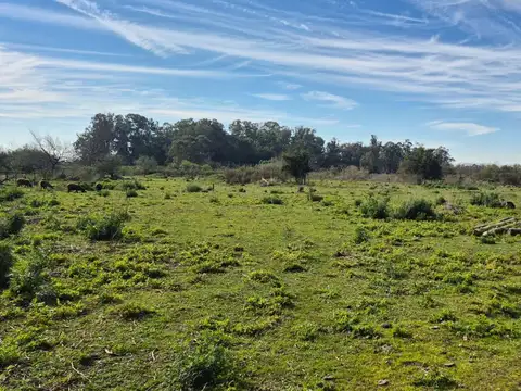 Campo en Venta en Arturo Seguí, Partido de La Plata
