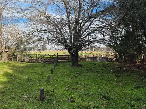 Campo en Venta en Arturo Seguí, Partido de La Plata