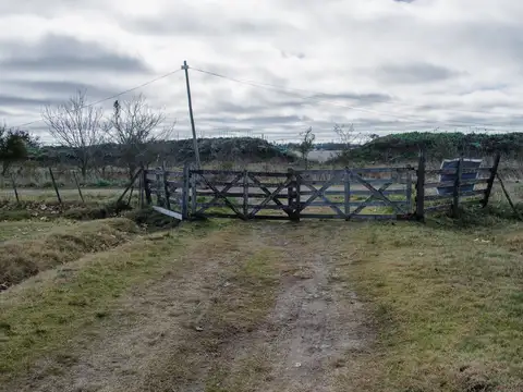 Campo en Venta en Alejandro Korn, Partido de San Vicente