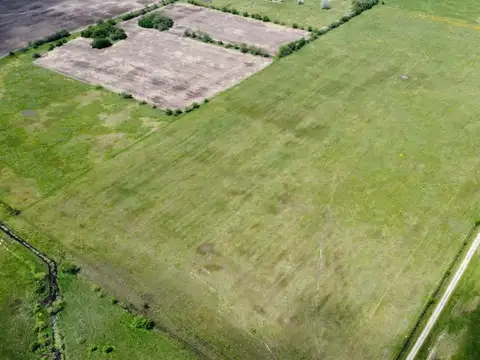Campo en Venta en Navarro, Partido de Navarro