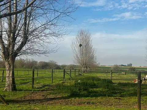 Campo en Venta en San Andrés de Giles, Partido de San Andrés de Giles