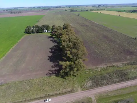 Campo en Venta en Exaltación de la Cruz, Partido de Exaltación de la Cruz