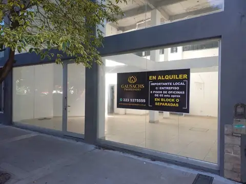 Local en Alquiler en Plaza Mitre, Mar del Plata