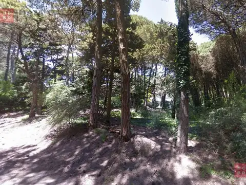 Terreno en Venta en Carilo, Partido de Pinamar