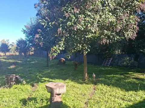 Terreno en Venta en Alberti, Partido de Alberti
