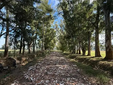 Terreno en Venta en Cañuelas, Partido de Cañuelas