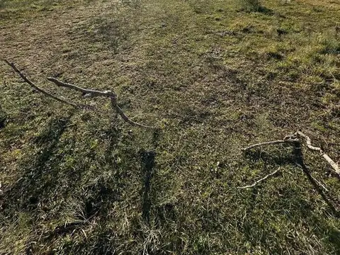 Terreno en Venta en Gowland, Partido de Mercedes