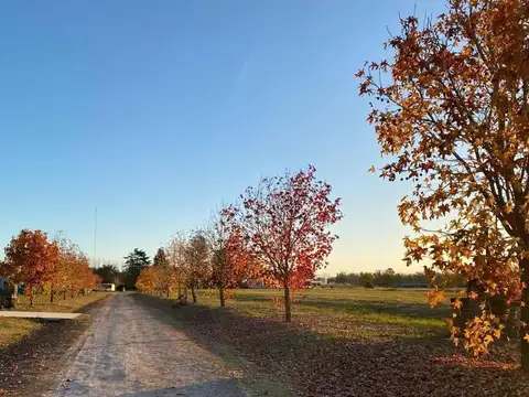 Terreno en Venta en Luján, Partido de Luján