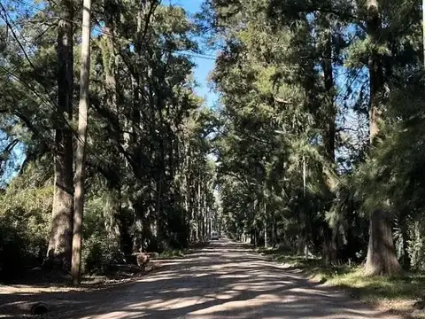 Terreno en Venta en Yei Pora, Tortuguitas