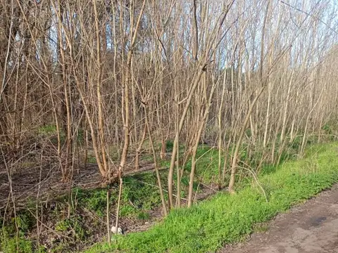 Terreno en Venta en Lobos, Partido de Lobos