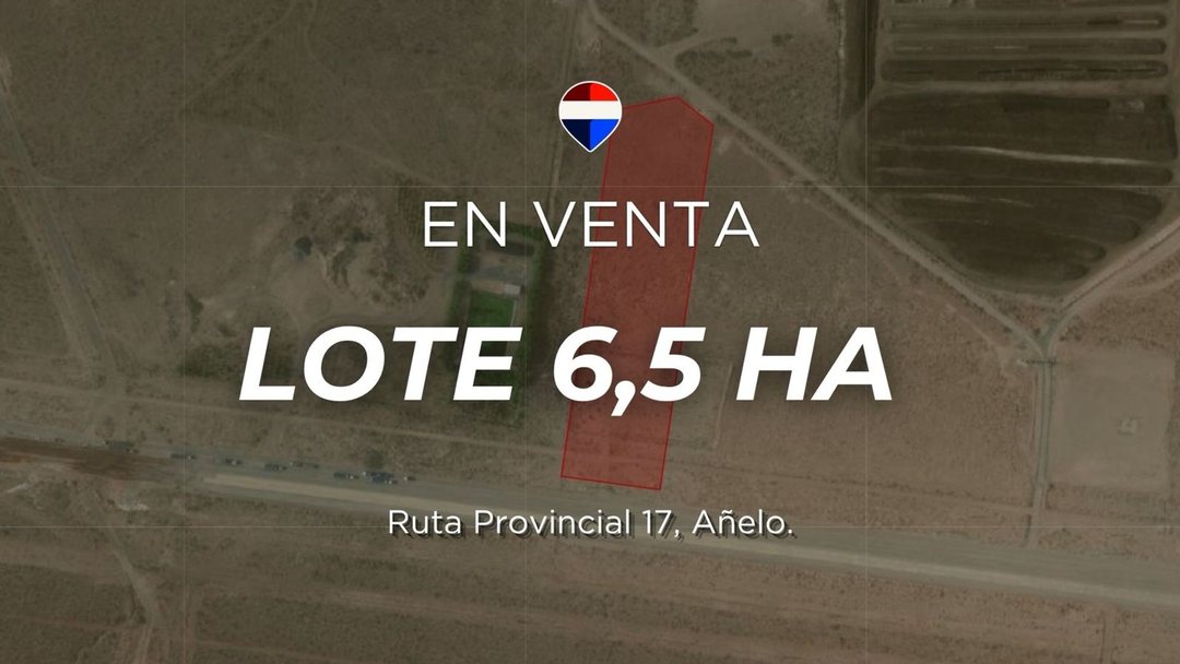 VENTA LOTE 6.5 HA AÑELO