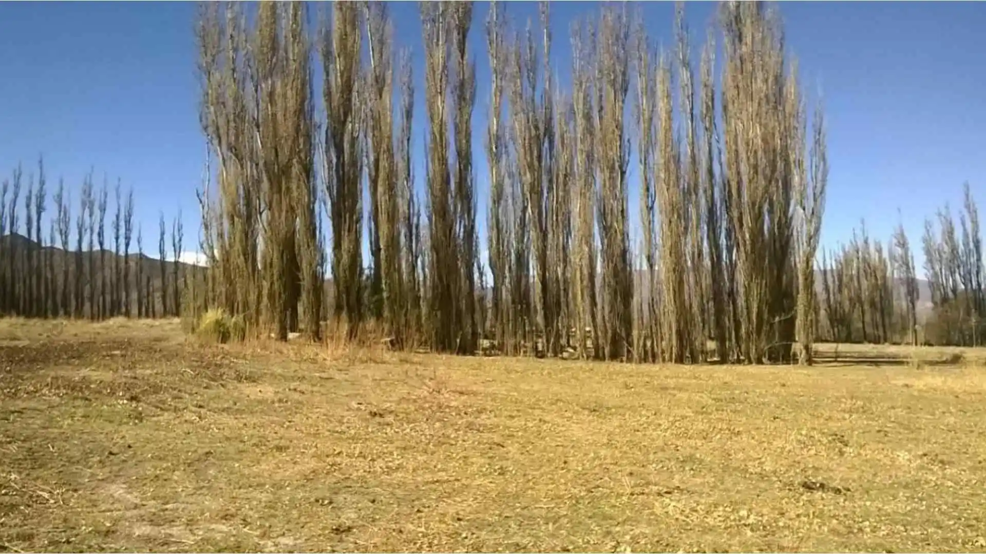 Excelente Finca 7,5 ha venta en Cachi Adentro. C/proyecto pa