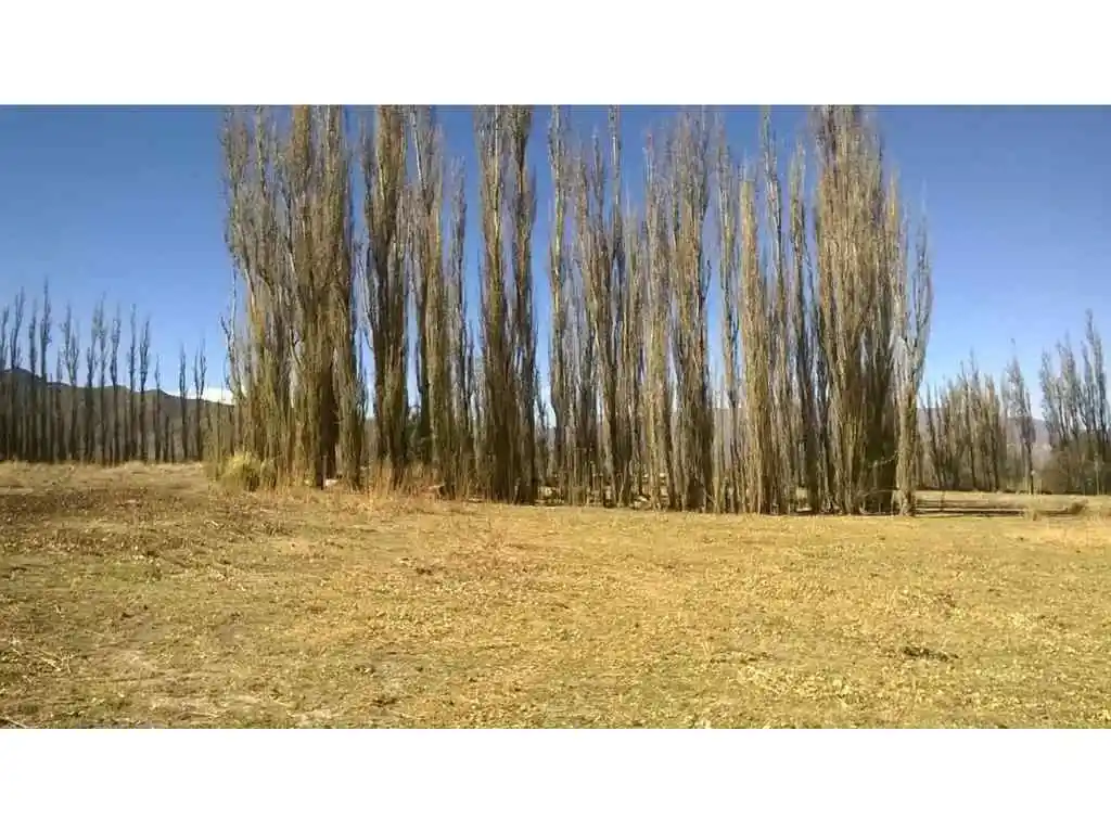 Espectacular Finca/Chacra en Cachi Adentro con Proyecto Turi